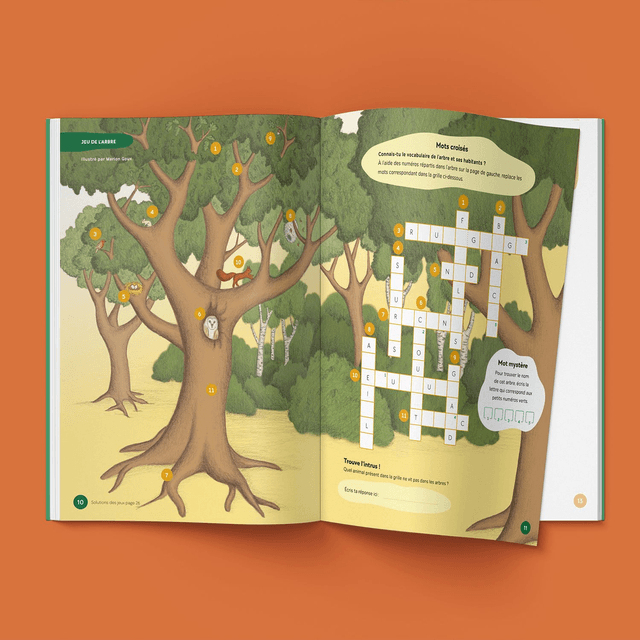 N°1 : Tous en forêt !
